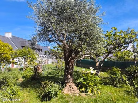 maison dpe c