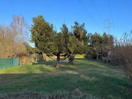 terrain de loisir avec une maisonnette