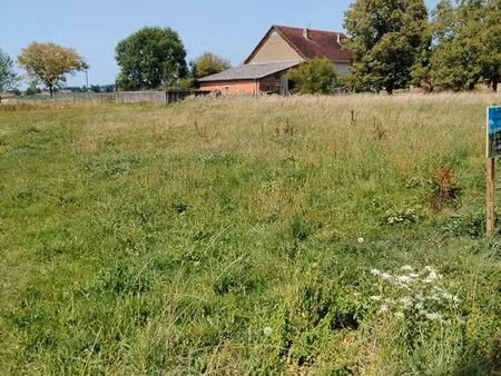 terrain constructible
