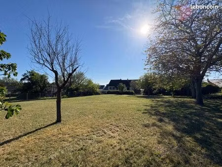 terrain arboré constructible