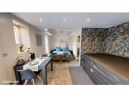 loft 1 pièce 26 m²