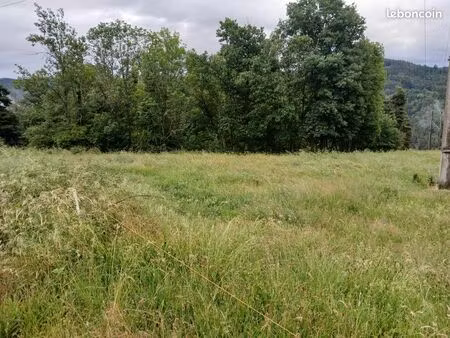 parcelles de bois et prairie