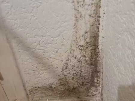 appartement qu'il faut pas louer
