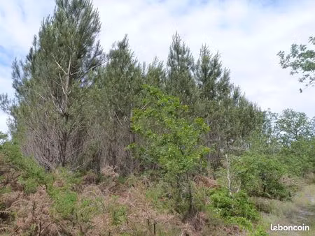 parcelle forestière de 4 7 hectares – saint-julien-d'armagnac (landes)