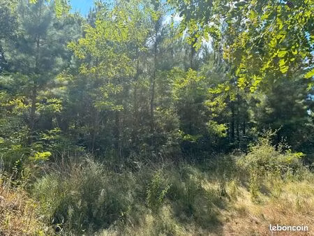 terrain 44 600 m² rion des landes