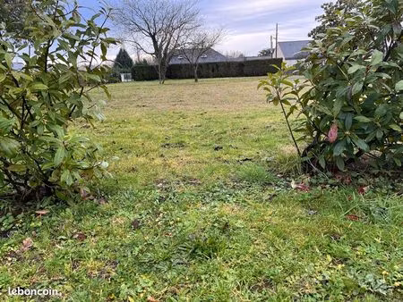 terrain constructible