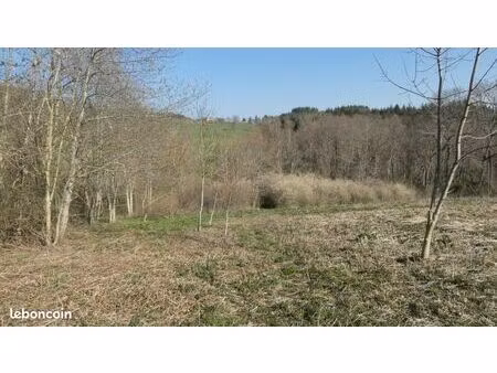 terrain avec ruisseau