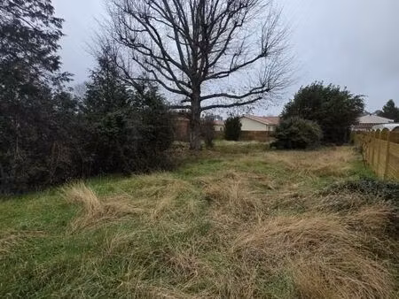 forêt 820 m² biscarrosse