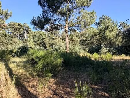 terrain 3600 m² soulac sur mer
