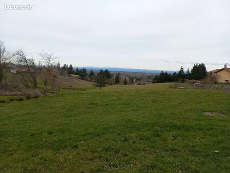 terrain 1000 m² saint haon le vieux