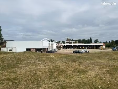 bureaux  atelier 1120 m² sully-sur-loire