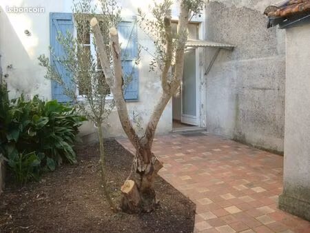 maison de ville avec petit jardin quartier ancien hopital