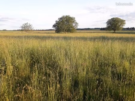 grande propriété secteur sauvetrre en gironde
