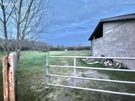 terrain agricole