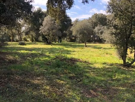 terrain viabilisé 1 2 hectares