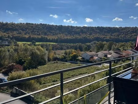 appartement très belle vue nancy petite couronne