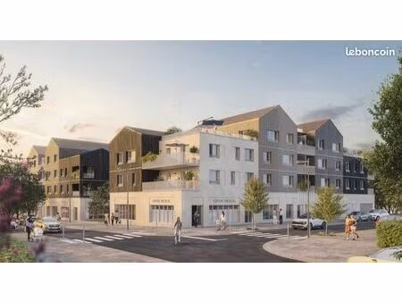 local 55 m²