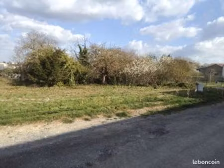 terrain constructible