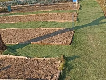 jardin potager a louer pour plantation