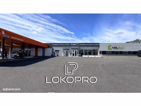 local 1050 m² cholet