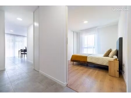appartement 1 pièce 42 m²