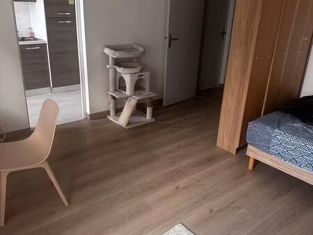 loue t1 bis angers