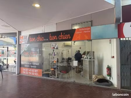 murs commerciaux à vendre – cc estanove – montpellier