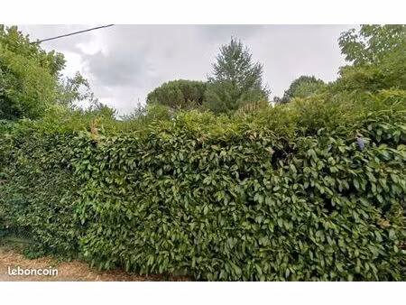 terrain 475 m² bordeaux