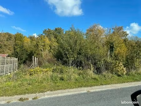 terrain constructible et bois