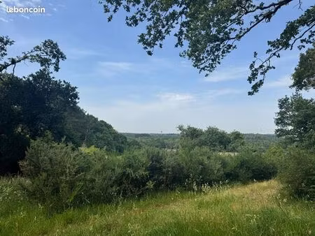 forêt 24 600 m² landevant