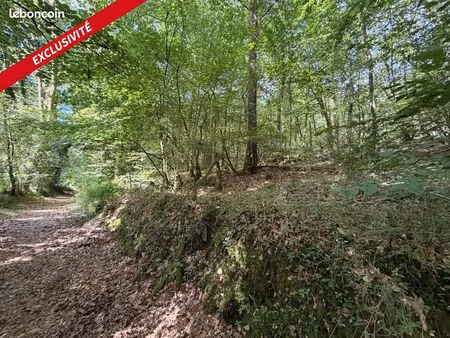 terrain 17521 m² larre