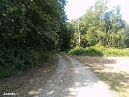 terrain non constructible boisé 1 hectare