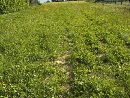 terrain constructible