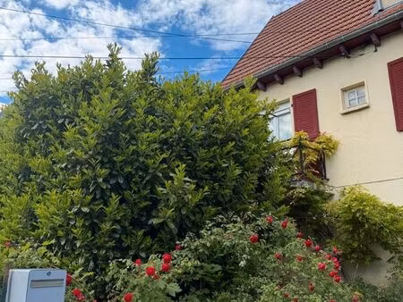 maison jardin terrasse