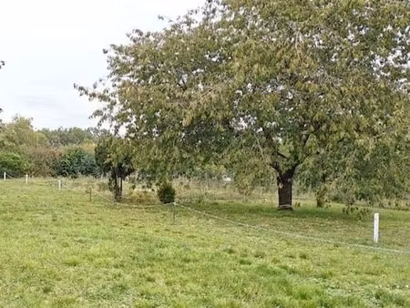terrain constructible à vendre