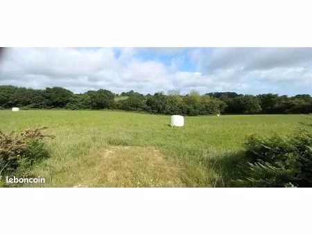 terrain nu non constructible