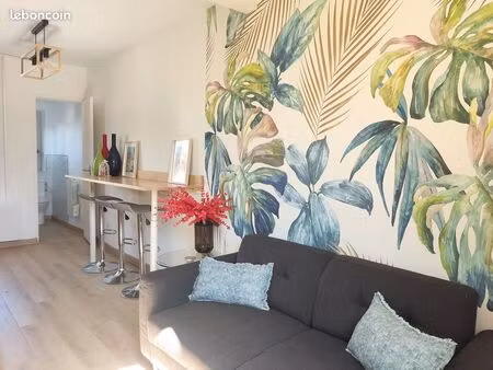 appartement t2 hyper centre