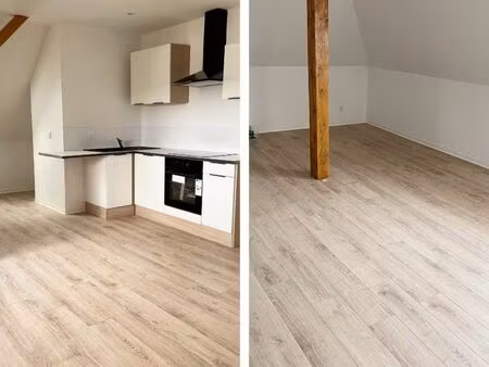 appartement f2 entièrement refait à neuf