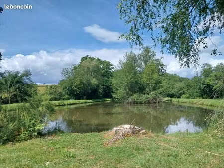 terrain 8517 m² le genest-saint-isle