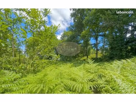 terrain 2400 m² barbazan-debat