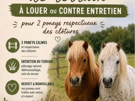recherche terrain beslon
