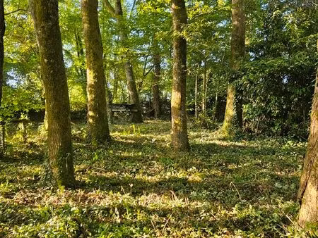 bois d'agrément