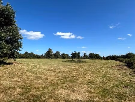 terrain agricole