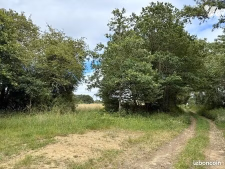 terrain 22460 m² la chapelle rainsouin