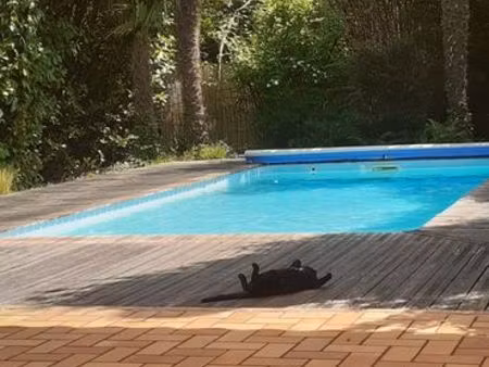 maison 120m2 plain pied avec piscine