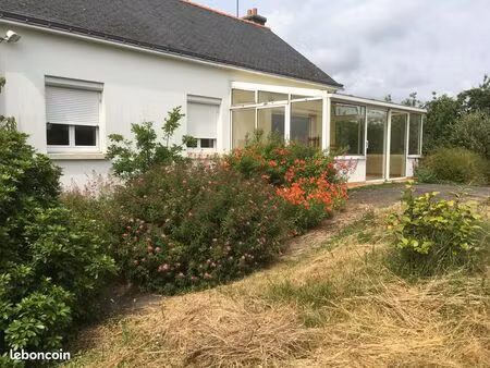 location maison individuelle