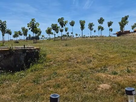terrain