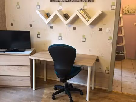 meublé 1 pièce haguenau iut