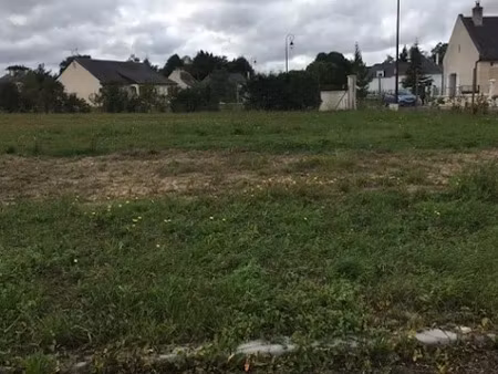vente terrain 600 m² à brain-sur-allonnes (49650)  36 565 €