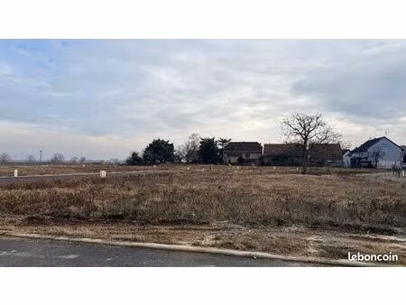 terrain 549 m² bergholtz